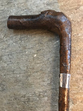 Load image into Gallery viewer, Whip-Crop, Hunting Antique Knobby Wood Cubbing Or Rat catcher Hunt Crop w engraved, Sterling (1800’s) Banded Collar
