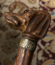 Load image into Gallery viewer, Cane-Walking Stick, Showing Cane, Antique Carved Dog (Spaniel?) Head W Glass Eyes & Collar, Knobby Wood