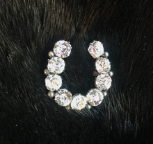 Load image into Gallery viewer, Brooch, Civil War era "paste" diamond & Sterling horse shoe, Dressage Ring