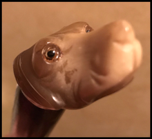 Load image into Gallery viewer, Cane-Walking Stick, antique, carved horn hound head w glass eyes on new wooden cane