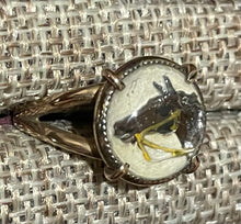 Load image into Gallery viewer, Ring, Mid-Century Horse Head Crystal set in Solid Bronze, Sz 6.75
