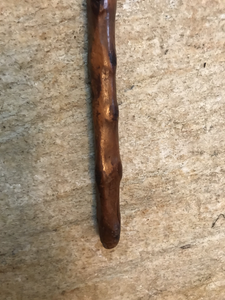 Cane-Walking Stick, Showing Cane, Antique Carved Dog (Spaniel?) Head W Glass Eyes & Collar, Knobby Wood