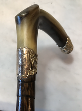 Load image into Gallery viewer, Whip-Crop, Sidesaddle Cane, Park, Antique, 10ct Gold Plated Horn Hook, Engraved, Excellent Condition
