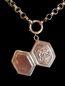Necklace-Locket: Antique Sterling Horse head locket on Vintage Sterling Chain