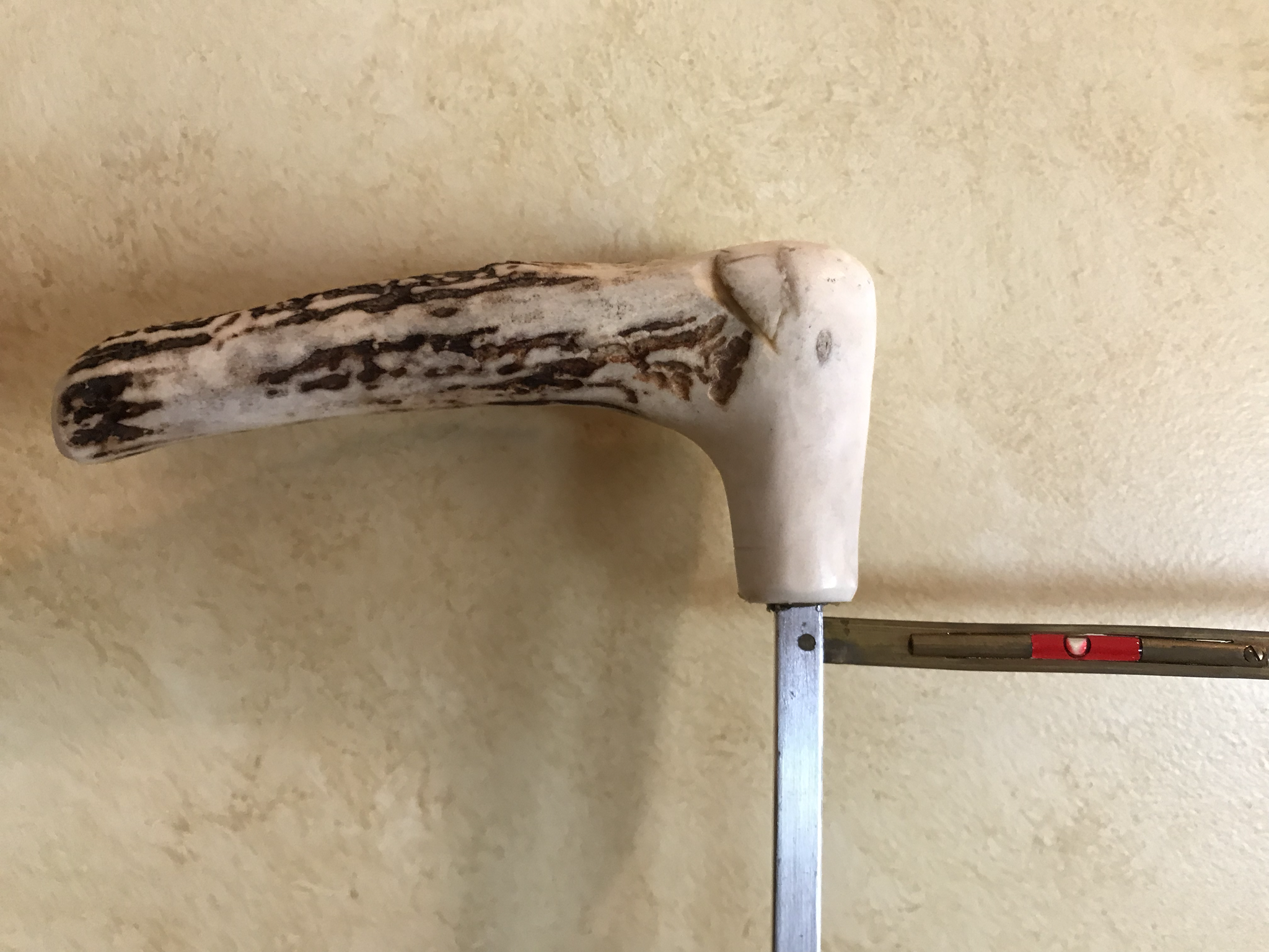 Antique Antler Handled Engraved Silver Cane Horse Measuring Stick in Hands