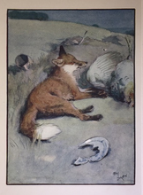 Load image into Gallery viewer, Print: Vintage Cecil Aldin Fox at rest

